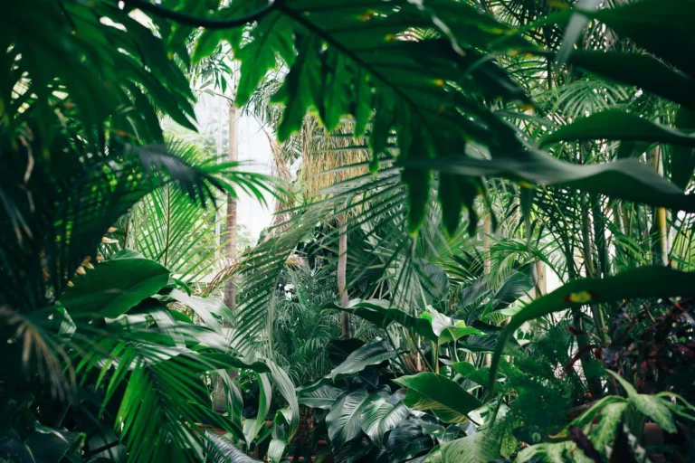 Plantpots20005