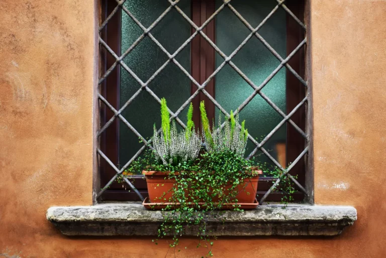 Plantpots20006