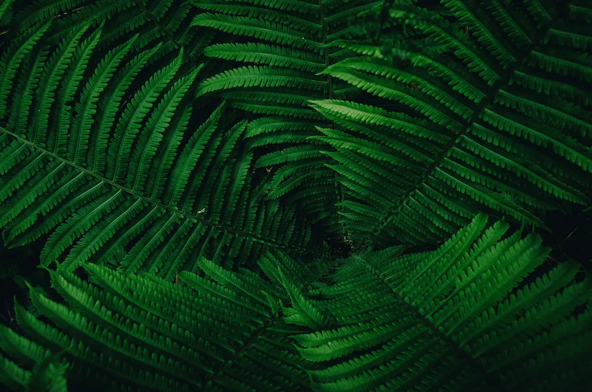 Plantpots20008