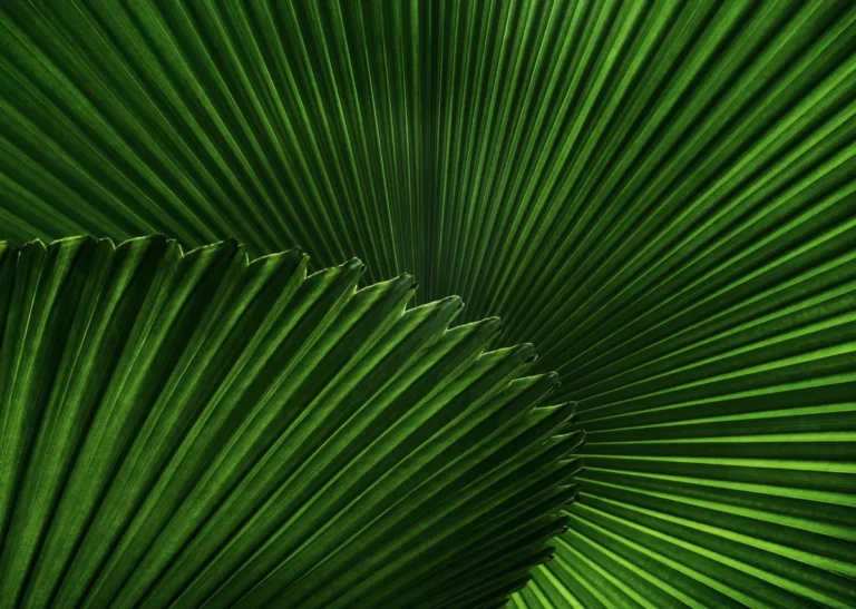 Plantpots20010