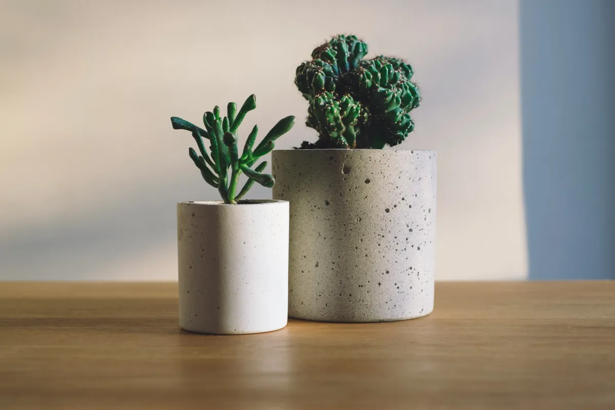 Plantpots20015
