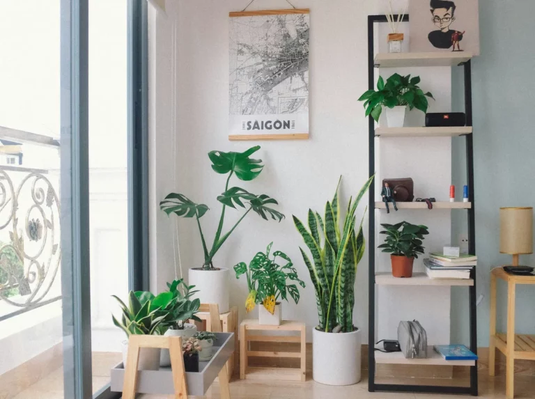 Plantpots20018