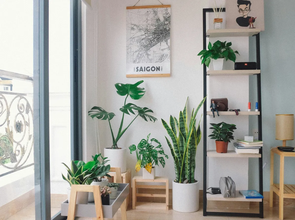 Plantpots20018