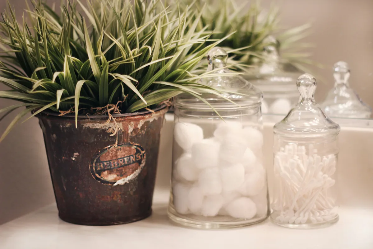 Plantpots20024