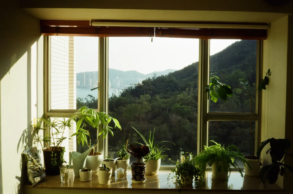 Plantpots20027