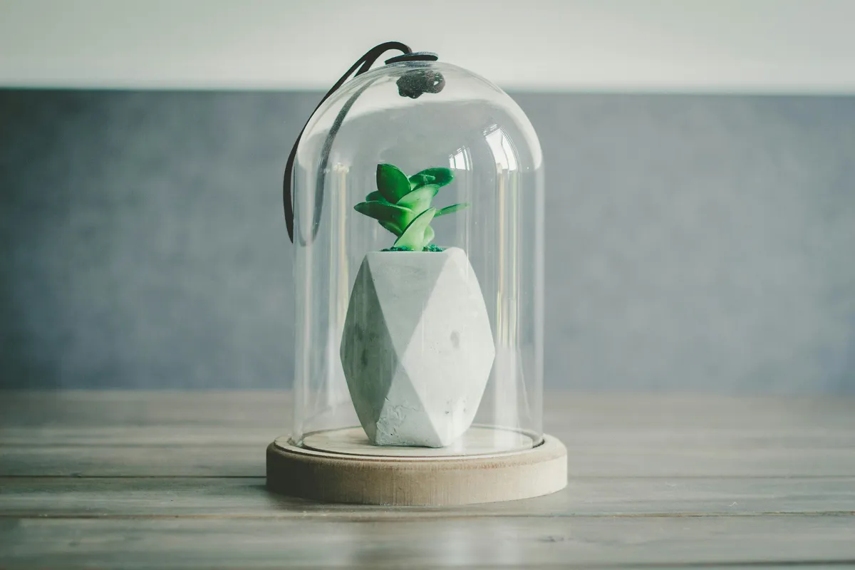 Plantpots20030