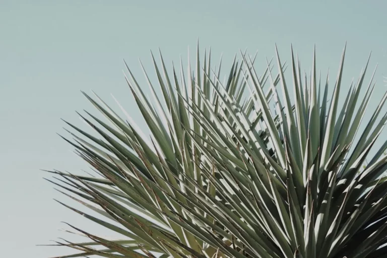 Plantpots20045