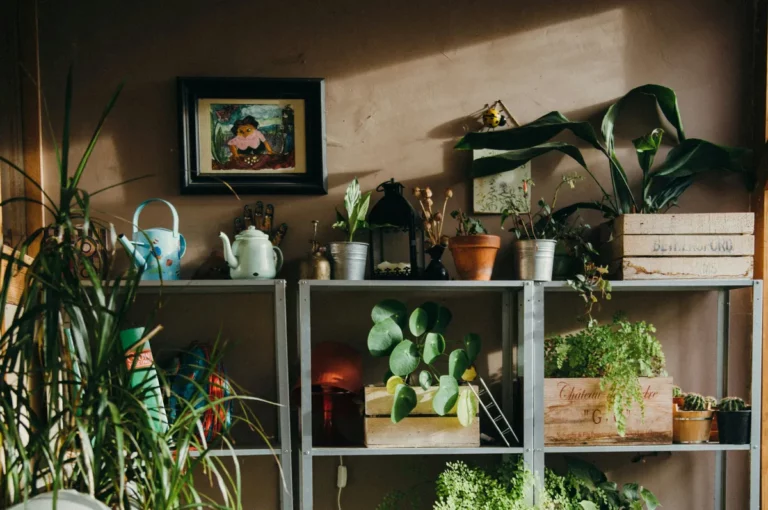 Plantpots20065